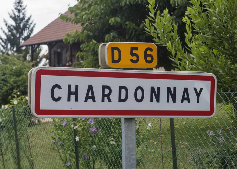 Chardonnay -  co musisz o nim wiedzieć?